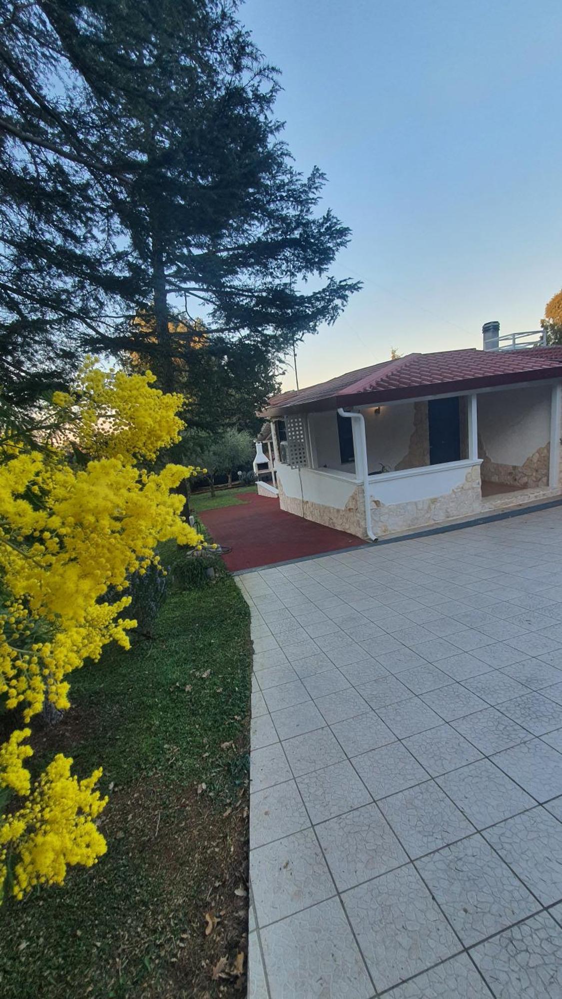 Mercadante - Luxury Holiday House Cassano delle Murge Kültér fotó
