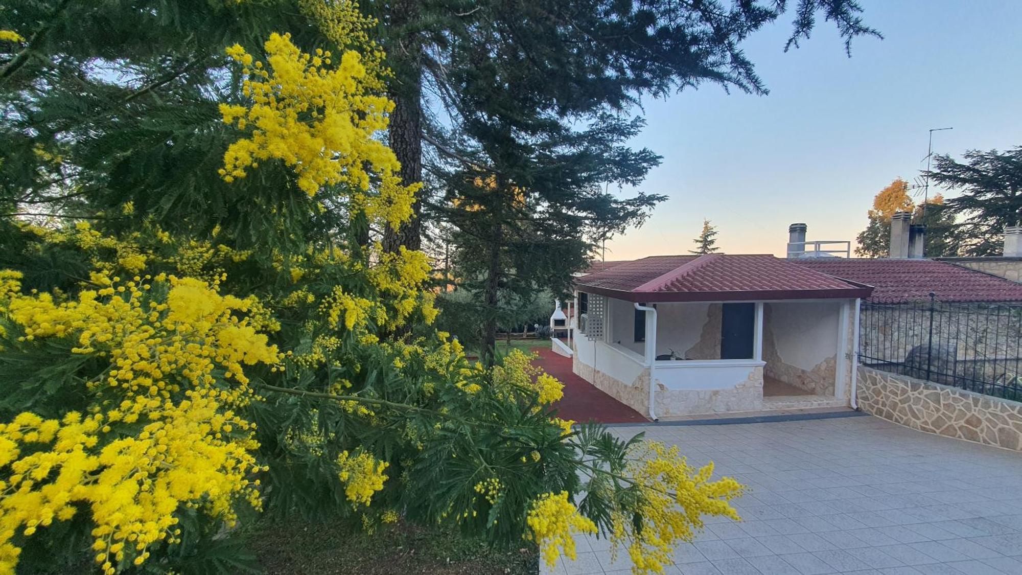 Mercadante - Luxury Holiday House Cassano delle Murge Kültér fotó