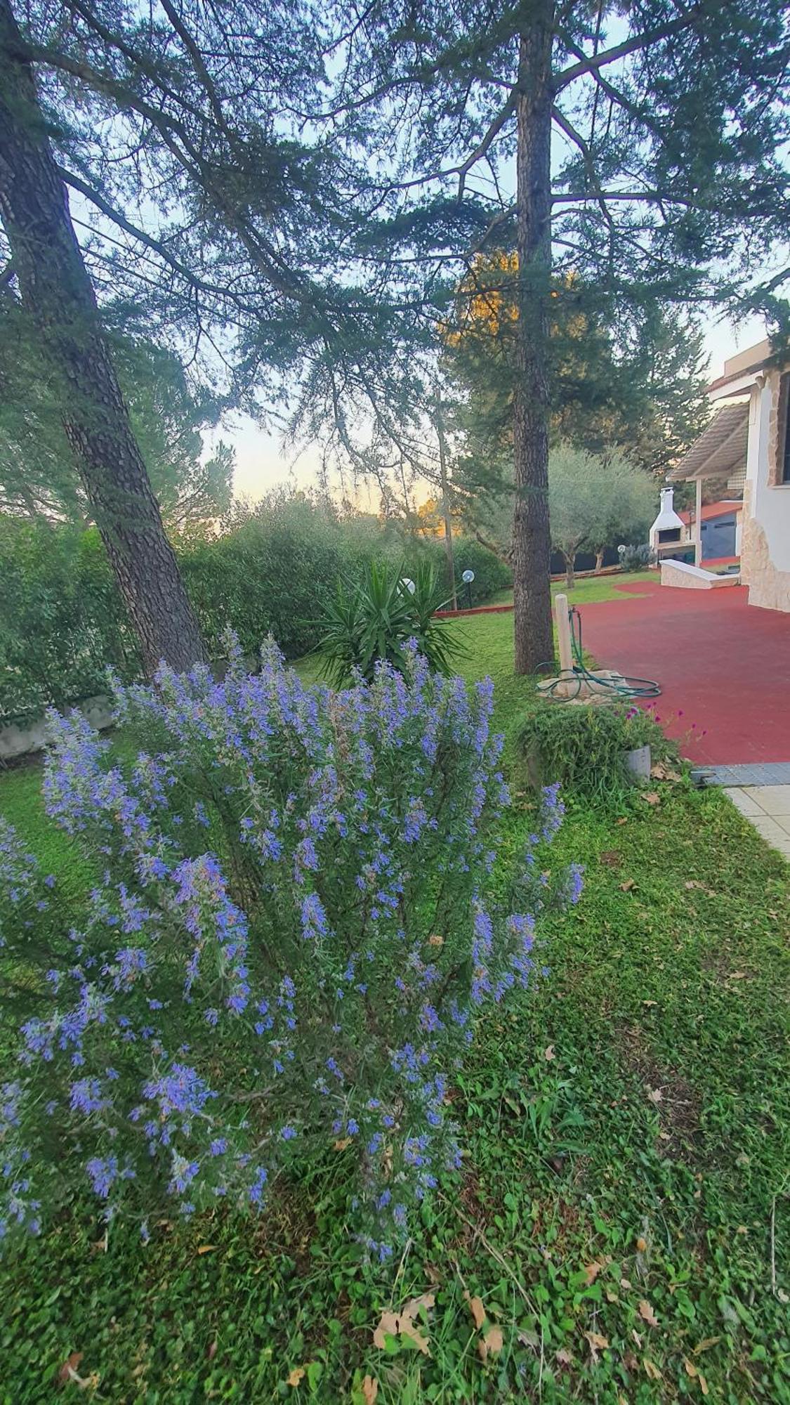 Mercadante - Luxury Holiday House Cassano delle Murge Kültér fotó